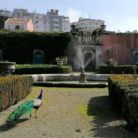 Apartment Cozy & Charming In Estrela *
